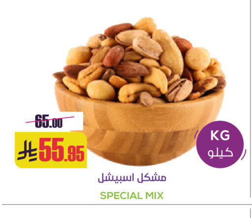 available at Sapt in KSA, Saudi Arabia, Saudi - Buraidah