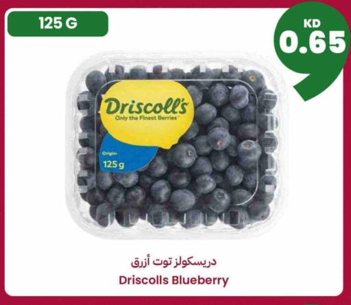 Blueberry BlueBerry available at Taw9eel.com in Kuwait - Ahmadi Governorate