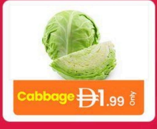 Cabbage available at جي إس واي كاش آند كاري سوبرماركت in الإمارات العربية المتحدة , الامارات - دبي