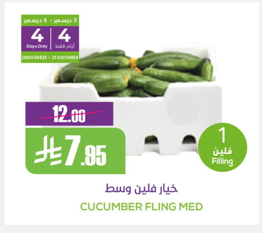 Cucumber available at Sapt in KSA, Saudi Arabia, Saudi - Buraidah