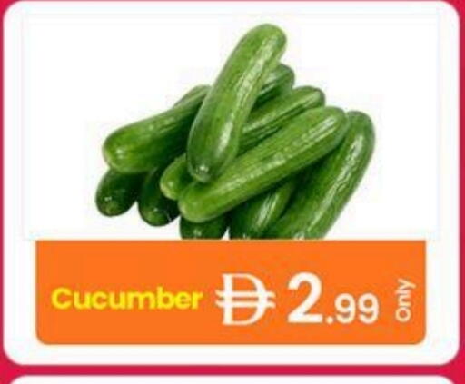 Cucumber available at جي إس واي كاش آند كاري سوبرماركت in الإمارات العربية المتحدة , الامارات - دبي