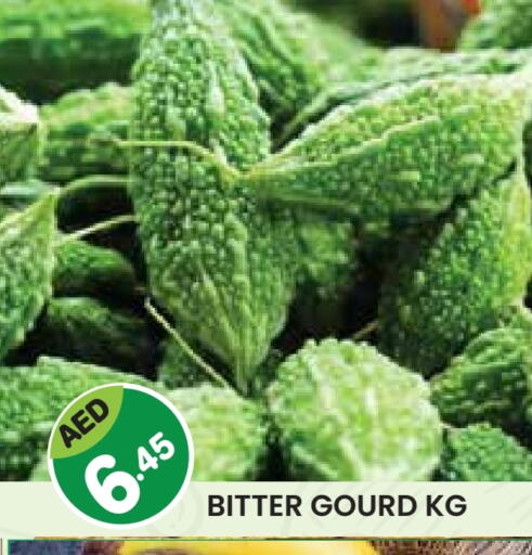 Gourd available at Baniyas Spike  in UAE - Abu Dhabi