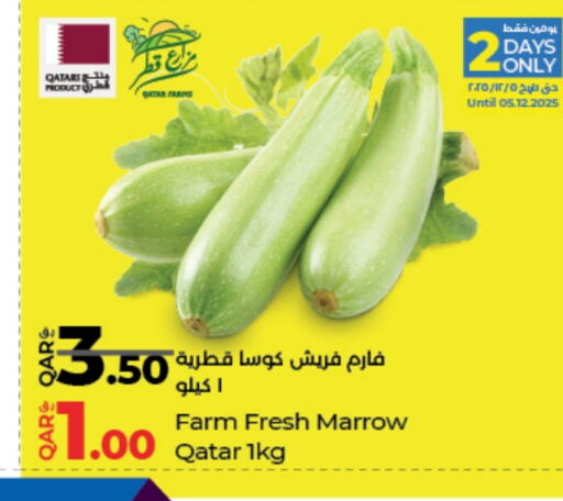 Marrow from Qatar available at LuLu Hypermarket in Qatar - Al Wakra