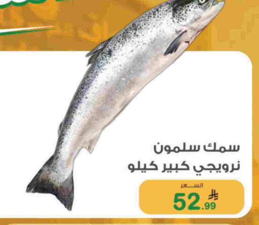 available at أسواق الرشيد in مملكة العربية السعودية, السعودية, سعودية - الرياض