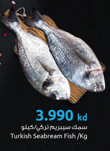 available at The Sultan Center in Kuwait - Ahmadi Governorate