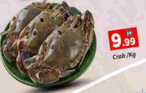 available at ايكو مول & ايكو هايبرماركت in الإمارات العربية المتحدة , الامارات - دبي