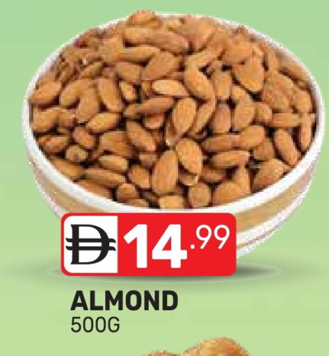 available at دريم نايت هايبرماركت in الإمارات العربية المتحدة , الامارات - دبي