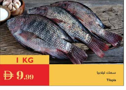 available at إسطنبول سوبرماركت in الإمارات العربية المتحدة , الامارات - أبو ظبي