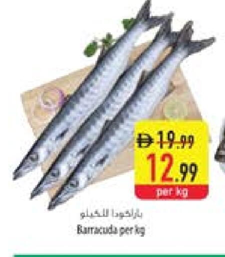 available at السفير ماركت in الإمارات العربية المتحدة , الامارات - أم القيوين‎