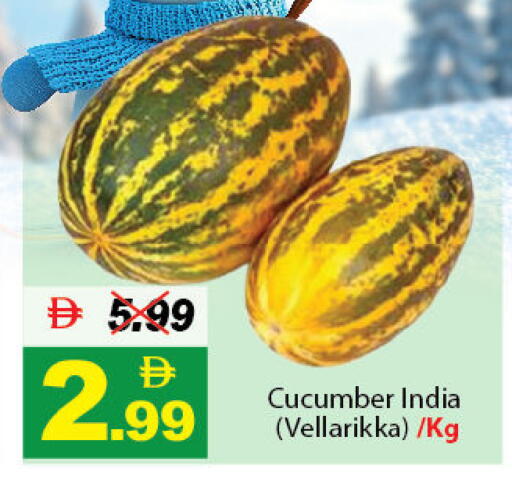 Cucumber from India available at ديزرت فريش ماركت in الإمارات العربية المتحدة , الامارات - أبو ظبي