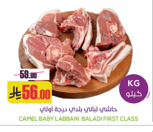 available at Sapt in KSA, Saudi Arabia, Saudi - Buraidah
