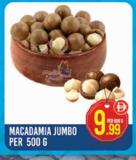 available at دريم لاند in الإمارات العربية المتحدة , الامارات - دبي