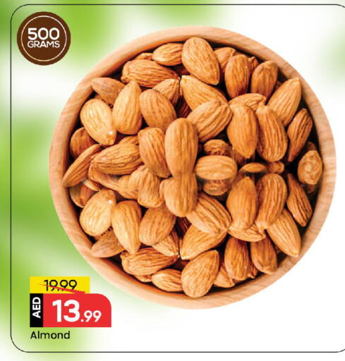 available at مارك & سيف in الإمارات العربية المتحدة , الامارات - دبي