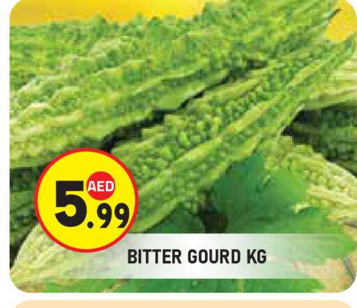 Gourd available at Baniyas Spike  in UAE - Abu Dhabi