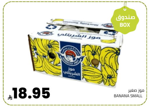 Banana available at Astra Markets in KSA, Saudi Arabia, Saudi - Tabuk