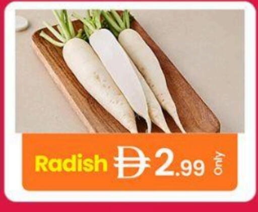 Radish available at جي إس واي كاش آند كاري سوبرماركت in الإمارات العربية المتحدة , الامارات - دبي