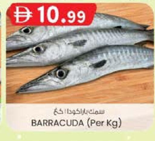 available at ك. الم. للتجارة in الإمارات العربية المتحدة , الامارات - دبي