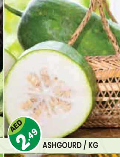 available at سنابل بني ياس in الإمارات العربية المتحدة , الامارات - أم القيوين‎