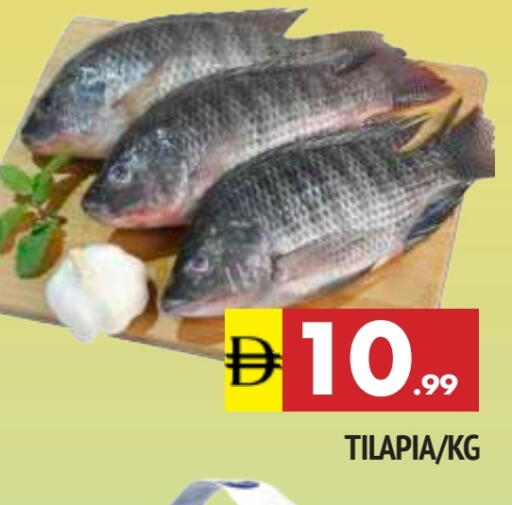 available at المدينة in الإمارات العربية المتحدة , الامارات - الشارقة / عجمان