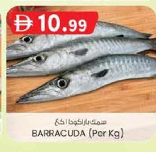 available at ك. إم. هايبرماركت in الإمارات العربية المتحدة , الامارات - الشارقة / عجمان