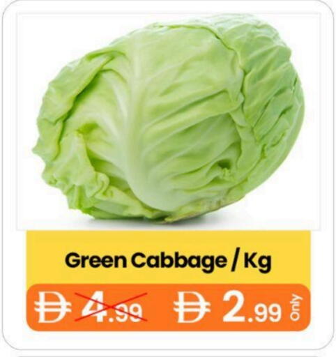 Cabbage available at  ELITE BASKET SUPERMARKET L.L.C. SP in UAE - Sharjah / Ajman