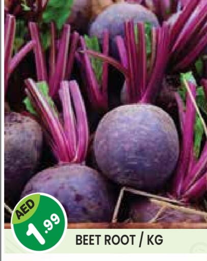 available at سنابل بني ياس in الإمارات العربية المتحدة , الامارات - أم القيوين‎