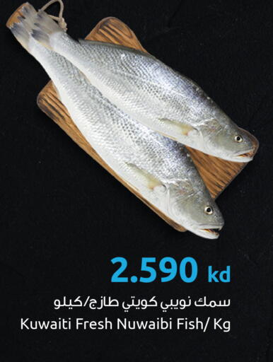 available at The Sultan Center in Kuwait - Ahmadi Governorate