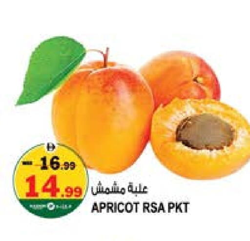 Apricot available at هاشم هايبرماركت in الإمارات العربية المتحدة , الامارات - الشارقة / عجمان