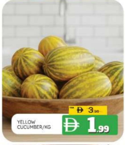 Cucumber available at المدينة in الإمارات العربية المتحدة , الامارات - ٱلْعَيْن‎