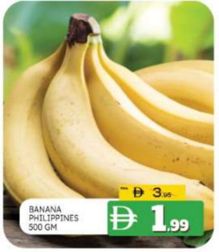 Banana available at المدينة in الإمارات العربية المتحدة , الامارات - الشارقة / عجمان