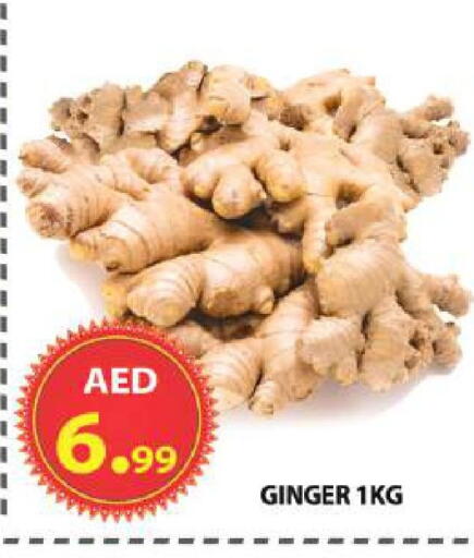Ginger available at مركز الوحدة للتخفيضات in الإمارات العربية المتحدة , الامارات - الشارقة / عجمان