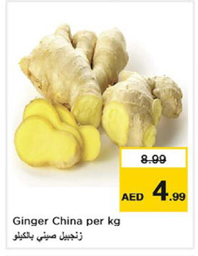 Ginger from China available at لاست تشانس in الإمارات العربية المتحدة , الامارات - ٱلْفُجَيْرَة‎