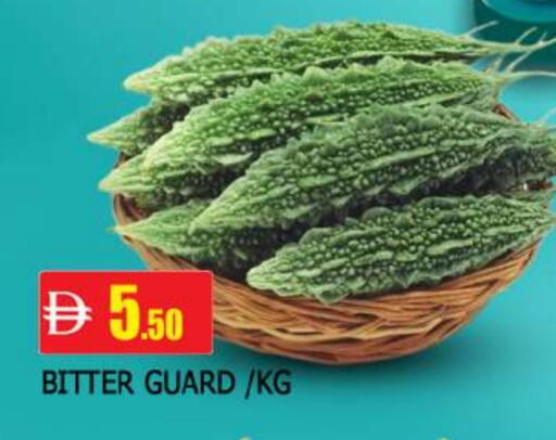 available at المدينة in الإمارات العربية المتحدة , الامارات - الشارقة / عجمان