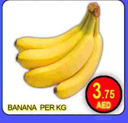 Banana available at جرين جيفت متجر أقسام in الإمارات العربية المتحدة , الامارات - دبي