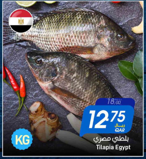 available at ســبــار in قطر - الريان