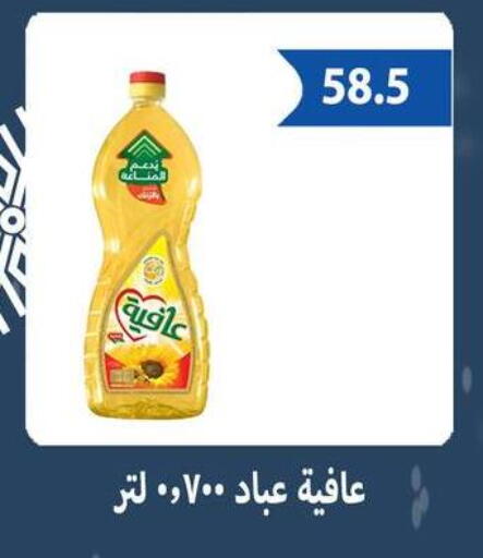 available at Hyper Samy Salama Sons in Egypt - Cairo