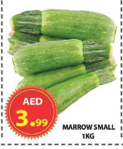 Marrow available at مركز الوحدة للتخفيضات in الإمارات العربية المتحدة , الامارات - الشارقة / عجمان