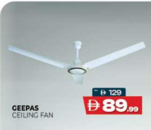 available at المدينة in الإمارات العربية المتحدة , الامارات - ٱلْعَيْن‎