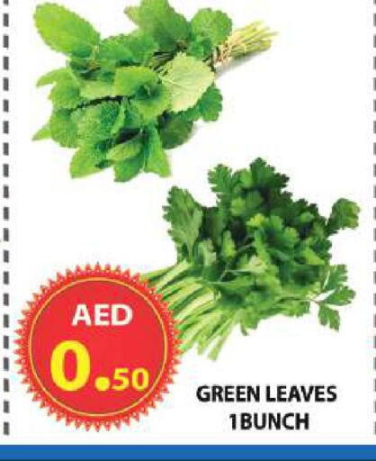 available at مركز الوحدة للتخفيضات in الإمارات العربية المتحدة , الامارات - الشارقة / عجمان