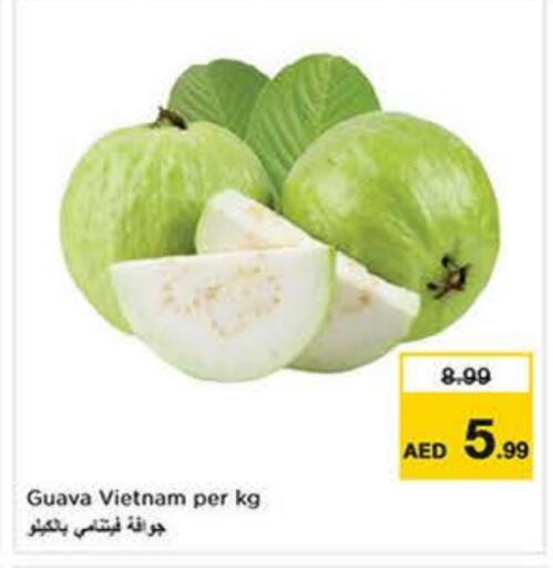 Guava from Vietnam available at نستو هايبرماركت in الإمارات العربية المتحدة , الامارات - ٱلْفُجَيْرَة‎