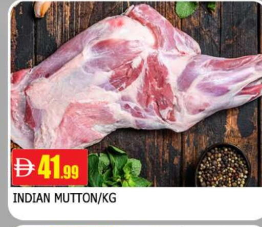 available at المدينة in الإمارات العربية المتحدة , الامارات - الشارقة / عجمان