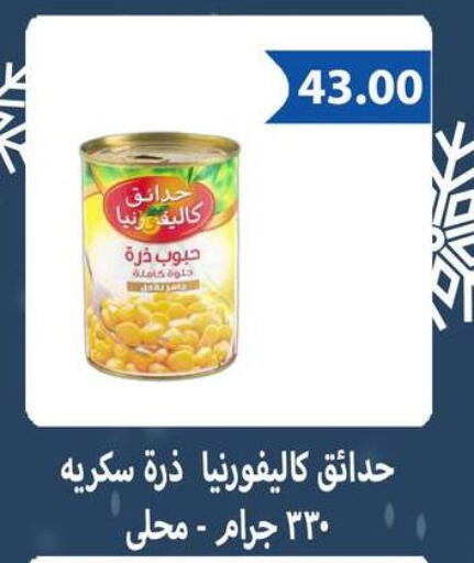 CALIFORNIA GARDEN available at Hyper Samy Salama Sons in Egypt - Cairo