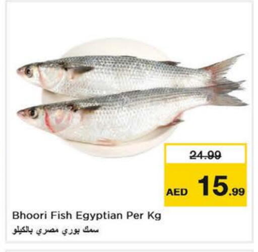 available at Nesto Hypermarket in UAE - Fujairah