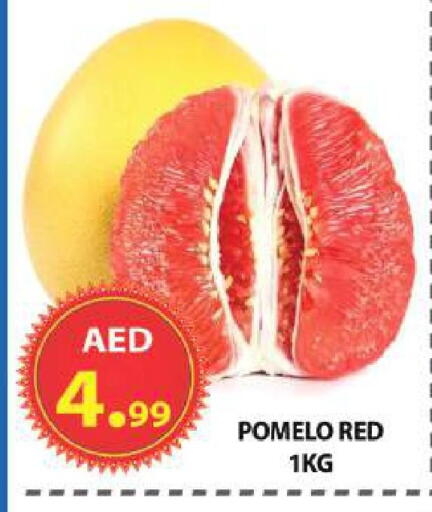 available at مركز الوحدة للتخفيضات in الإمارات العربية المتحدة , الامارات - الشارقة / عجمان