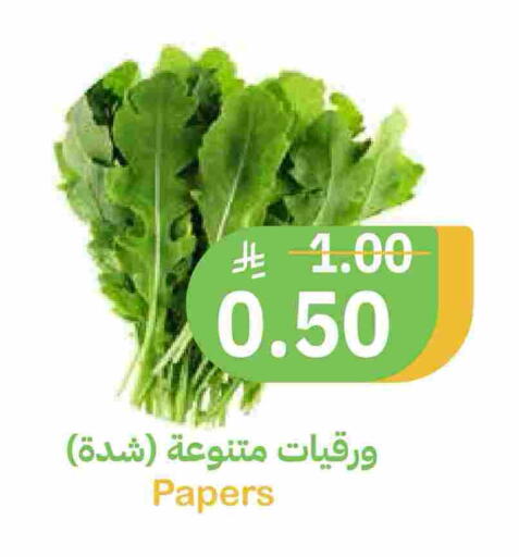 available at أسواق قاطبة in مملكة العربية السعودية, السعودية, سعودية - بريدة