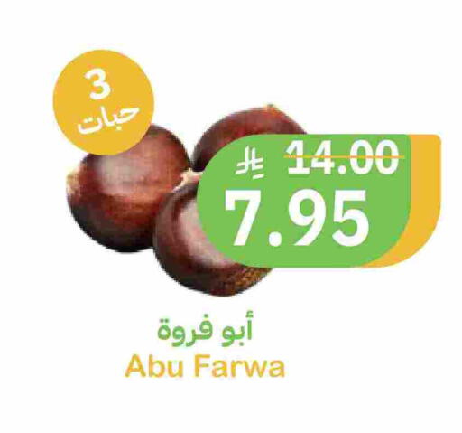 available at أسواق قاطبة in مملكة العربية السعودية, السعودية, سعودية - بريدة