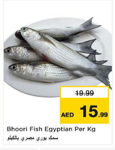 available at نستو هايبرماركت in الإمارات العربية المتحدة , الامارات - الشارقة / عجمان