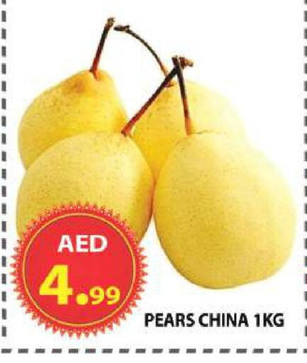 available at مركز الوحدة للتخفيضات in الإمارات العربية المتحدة , الامارات - الشارقة / عجمان