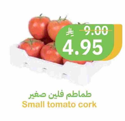 Tomato available at Qateba Markets in KSA, Saudi Arabia, Saudi - Buraidah