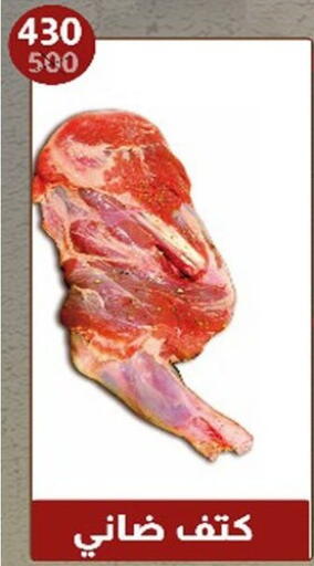 available at Hyper Samy Salama Sons in Egypt - Cairo